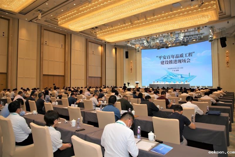 “平安百年品质工程”建设推进现场会